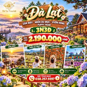 TOUR 2026  ĐÀ LẠT 3N3Đ - VƯƠN QUỐC NGÀN HOA